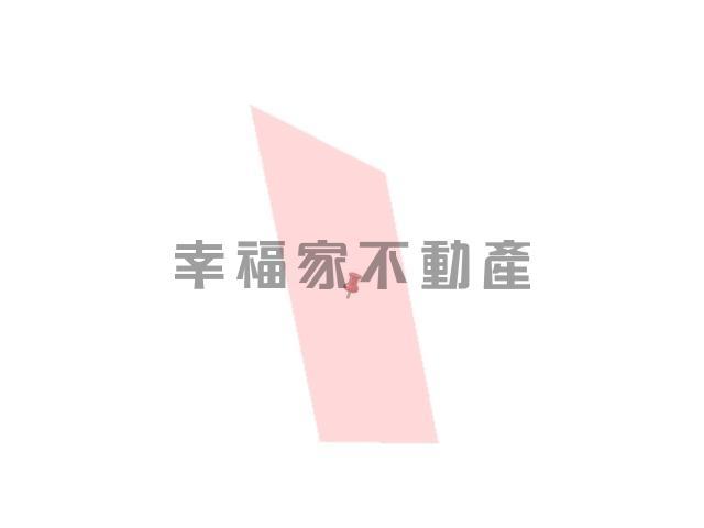 台南善化農地-14