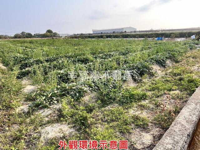 台南新化農地-13