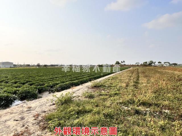 台南新化農地-6