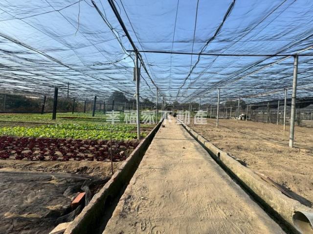 台南南區農地-13