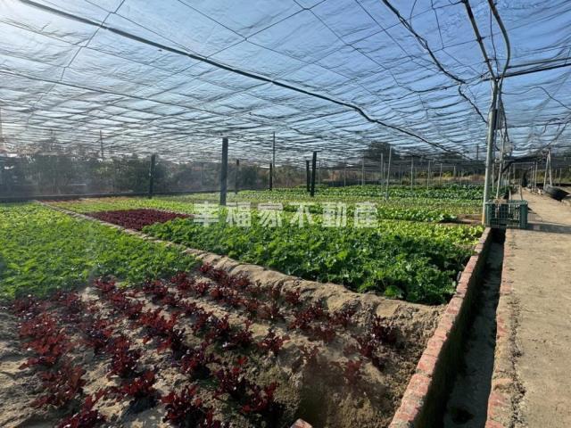 台南南區農地-2