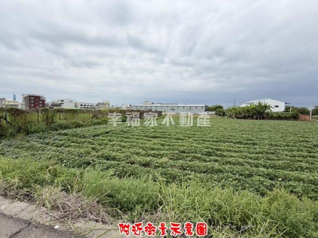 新化農地-11