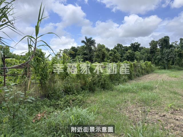 台南安定農地-9