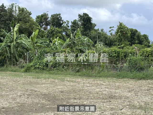 台南安定農地-10