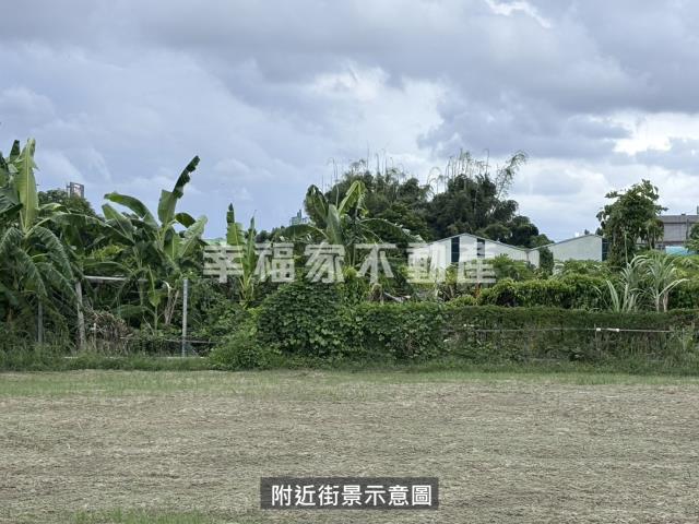 台南安定農地-13