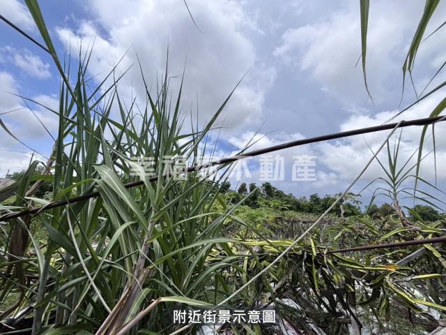 台南安定農地-1